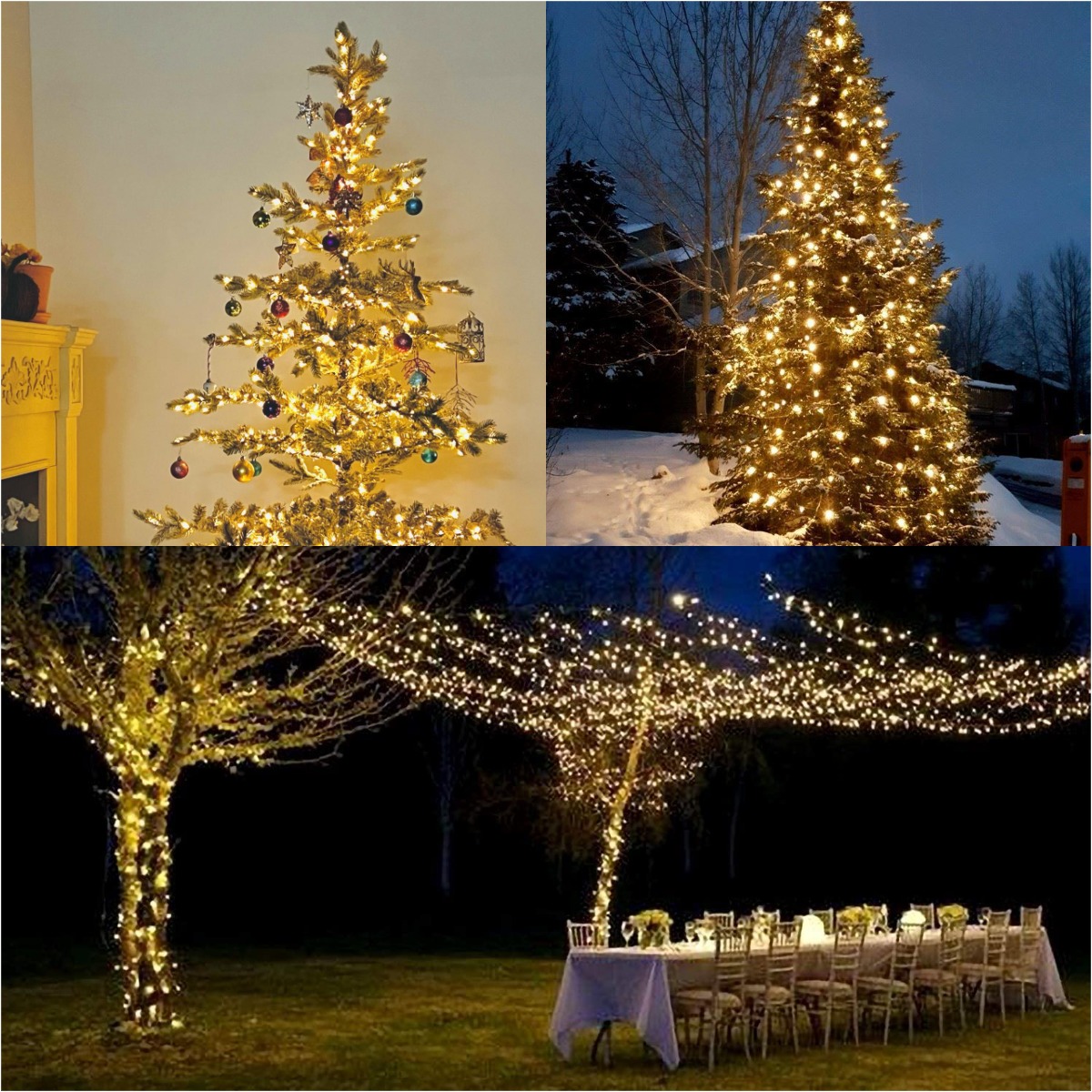 Plus LED fil vert guirlande ch - Lighting Decor And More avis et prix
